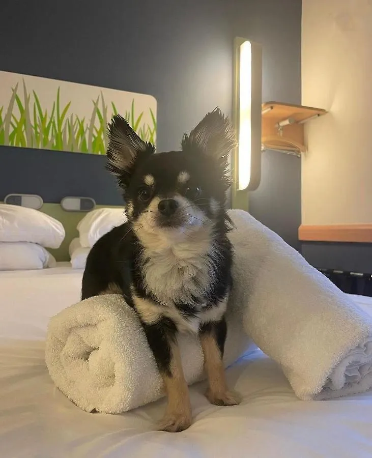 Ibis Budget Belfast City Centre Hotel